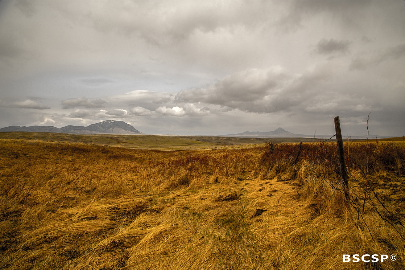 Toole County landscape