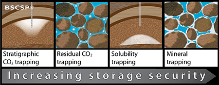 CO2 trapping mechanisms