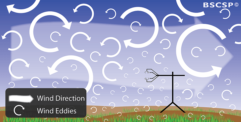 An eddy covariance tower is a method of measuring atmospheric winds and is used to monitor changes taking place on the surface.